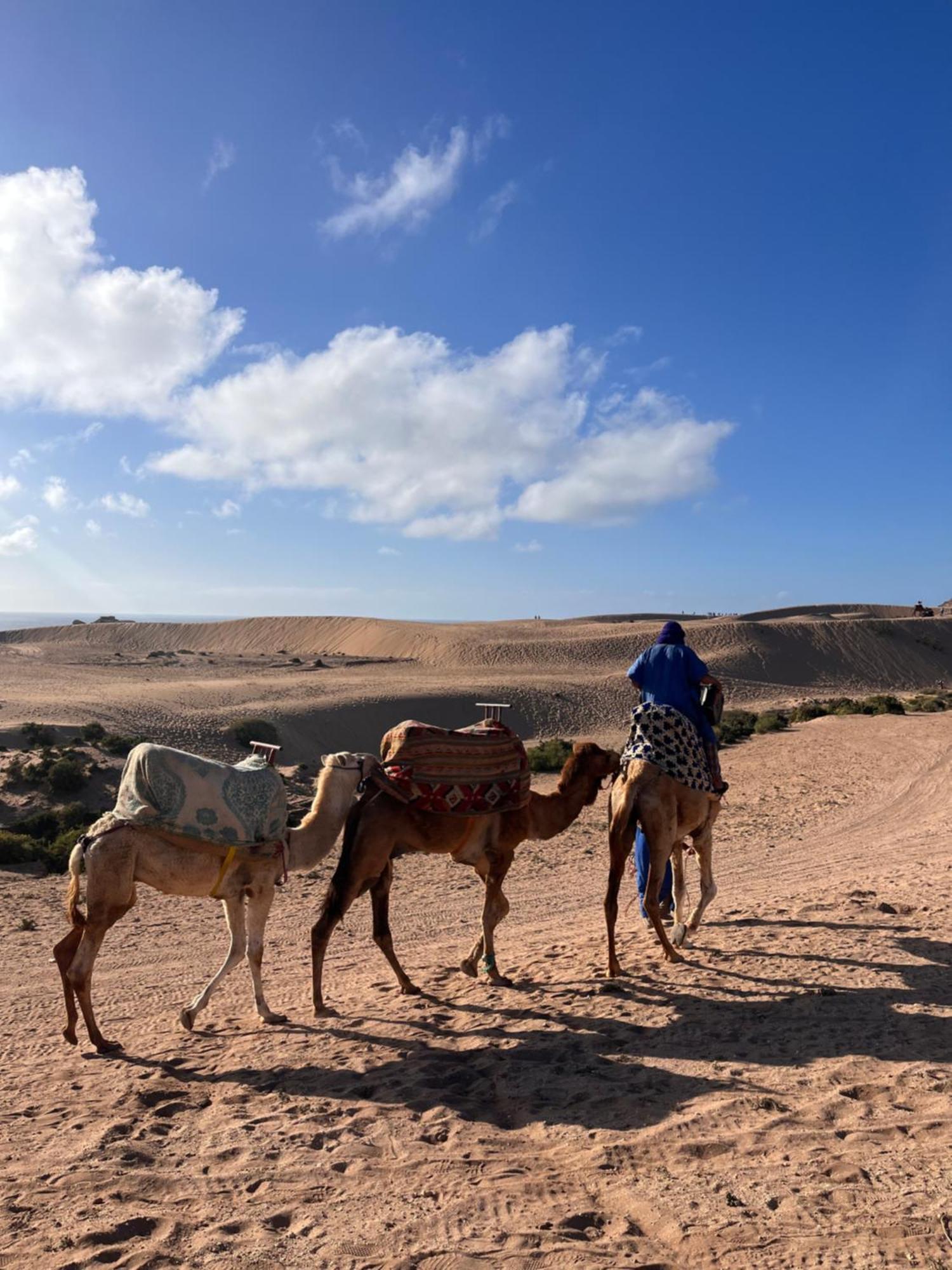 Nizar Surf Morocco Hostel Taghazout Bagian luar foto